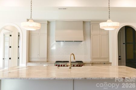 New construction Single-Family house 3028 Eastham Ln, Charlotte, NC 28209 - image 8