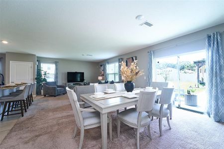 New construction Single-Family house 10826 Trailing Vine Dr, Tampa, FL 33610 null- photo 26 26