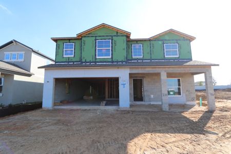 New construction Single-Family house 38318 Tobiano Loop, Dade City, FL 33525 Malibu- photo 52 52