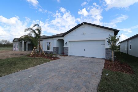 New construction Single-Family house 3150 Adams Cross Dr, Zephyrhills, FL 33540 Miranda- photo 85 85