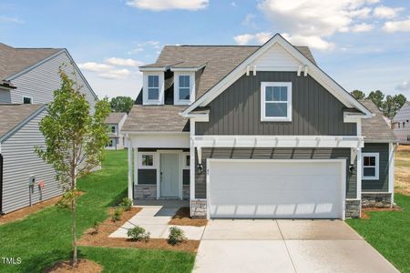 New construction Single-Family house 45 Horseshoe Place, Unit 65, Angier, NC 27501 The Wade- photo 0