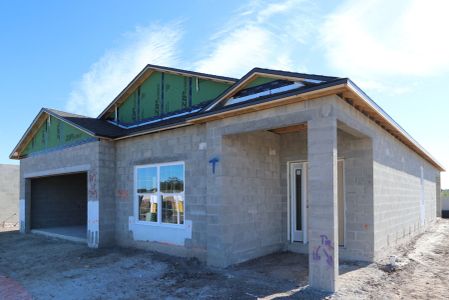 New construction Single-Family house 3142 Adams Cross Dr, Zephyrhills, FL 33540 Picasso- photo 27 27