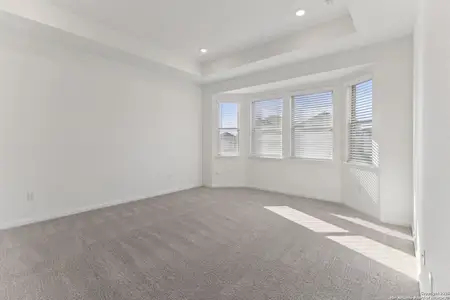 New construction Single-Family house 12528 Gunsbach, Schertz, TX 78154 - image 20