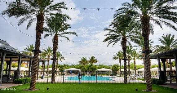 New construction Single-Family house 2432 W Maximo Wy, Phoenix, AZ 85085 - image 14