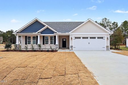 New construction Single-Family house 120 Prosecco Dr, Princeton, NC 27569 - image
