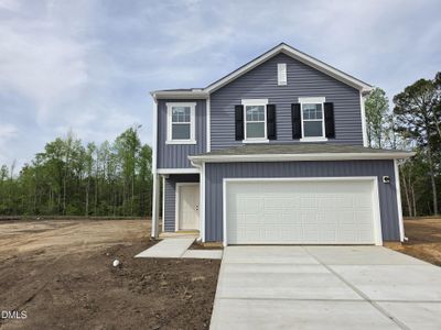 New construction Single-Family house 1500 Pond Overlook Dr, Nashville, NC 27856 - image