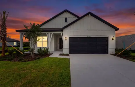 New construction Single-Family house 37834 Clinch Cir, Zephyrhills, FL 33540 plan Medina - image