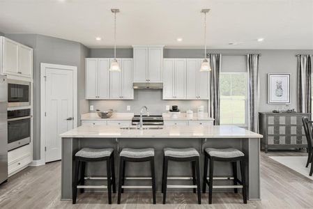 New construction Single-Family house 343 Flying Eagle Dr, Cornelia, GA 30531 plan Savannah - image