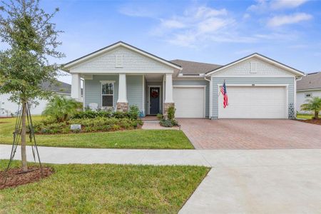 New construction Single-Family house 17 Blue Grotto Place, Palm Coast, FL 32137 - photo 0