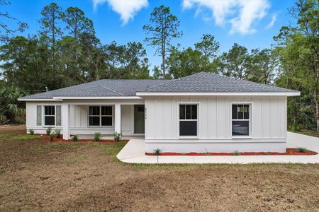 New construction Single-Family house 8996 N Cacalia Dr, Crystal River, FL 34428 - image