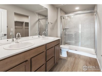 New construction Single-Family house 6116 Dutch Dr, Timnath, CO 80547 plan Edison - image 8