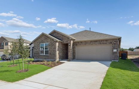 New construction Single-Family house 13312 Cuchillo Path, Manor, TX 78653 plan Orchard - image