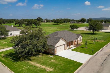 New construction Single-Family house 206 Oak Grove Pkwy, Kingsland, TX 78639 - image