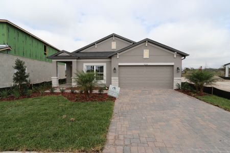 New construction Single-Family house 31229 Denham Ridge Ln, Wesley Chapel, FL 33545 Newport II- photo 57 57