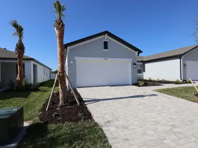 New construction Duplex house 9249 Optimist Wy, Palmetto, FL 34221 plan Opal - image