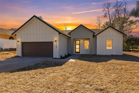 New construction Single-Family house 2747 Sw 161St Lp, Ocala, FL 34473 - image