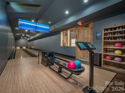 New construction Single-Family house 142 Elkton Ct, Mill Spring, NC 28756 - image 13