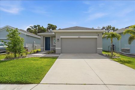 New construction Single-Family house 8728 Starry Night Ter, Parrish, FL 34219 - image