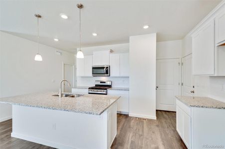 New construction Single-Family house 18039 Dandy Brush Ln, Parker, CO 80134 ELM- photo 13 13