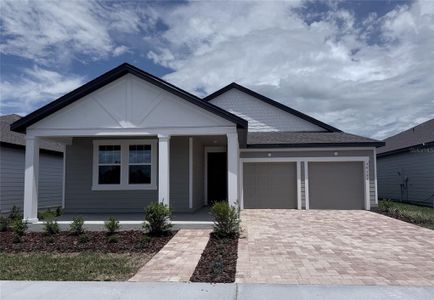 New construction Single-Family house 30153 Misty Pines Rd, Mount Dora, FL 32757 - image