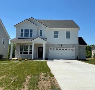 New construction Single-Family house 113 Emeline Wy, Mount Juliet, TN 37122 plan Hampstead - image