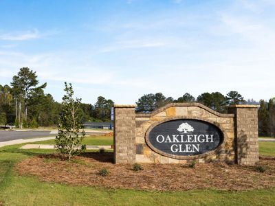 New construction Single-Family house 208 Oak View Ln, Dallas, GA 30157 null- photo 24 24
