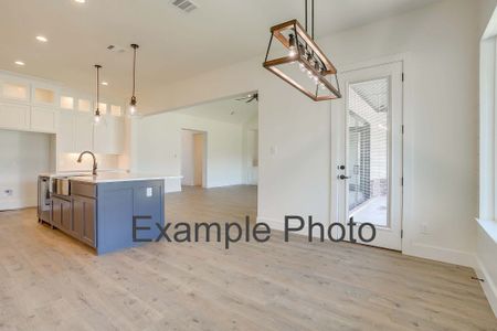 New construction Single-Family house 9312 Wood Duck Dr, Justin, TX 76247 plan The San Antonio - image 12