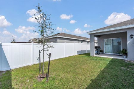 New construction Single-Family house 924 Chasetree Ln, St. Cloud, FL 34771 ASTOR- photo 14 14