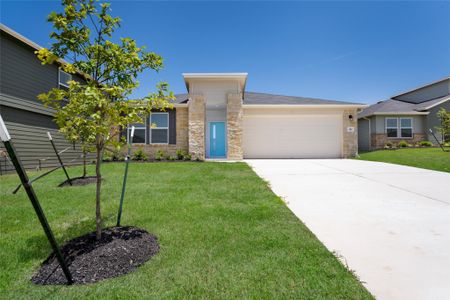 New construction Single-Family house 281 Gladiola Loop, Kyle, TX 78640 - photo 0