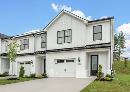 Crystal Creek by LGI Homes in Spring Hill - image