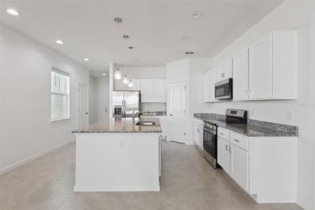 New construction Single-Family house 3704 Watercliff Cir, Grand Island, FL 32735 - image 10