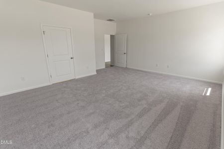New construction Single-Family house 243 Spirit Springs Rd, Smithfield, NC 27577 - image 12