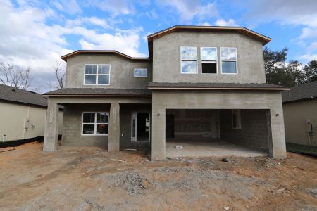 New construction Single-Family house 12008 Hilltop Farms Dr, Dade City, FL 33525 Alenza- photo 80 80