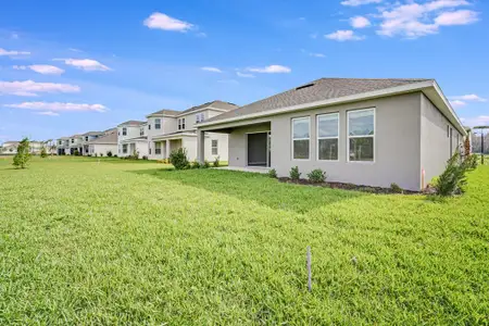 New construction Single-Family house 2061 Longliner Lp, Wesley Chapel, FL 33543 Antigua- photo 20 20