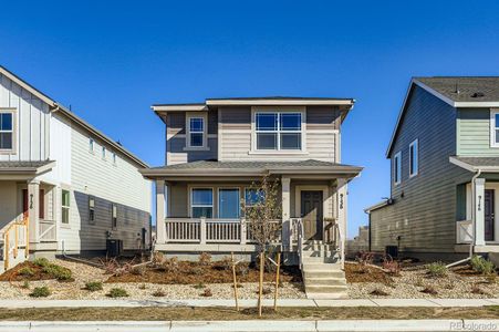 New construction Single-Family house 9136 Percheron Pony Dr, Colorado Springs, CO 80908 plan Expedition - image