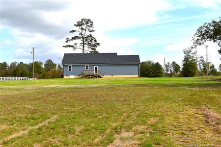 New construction Single-Family house 5137 Spring Hill Church Rd, Lillington, NC 27546 null- photo 33 33