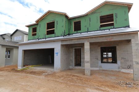 New construction Single-Family house 38318 Tobiano Loop, Dade City, FL 33525 Malibu- photo 24 24