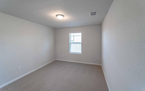 New construction Single-Family house 372 Kenai Dr, Kyle, TX 78640 plan Sapphire - image 9