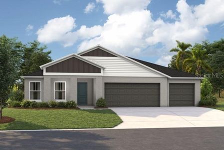 New construction Single-Family house 9837 Govreau Rd, Wesley Chapel, FL 33545 - image