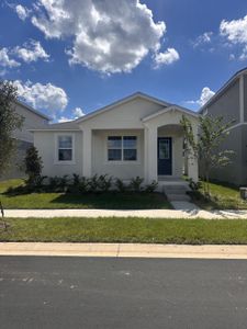 New construction Single-Family house 528 Green Tracker Ave, Groveland, FL 34736 plan Alafia - image