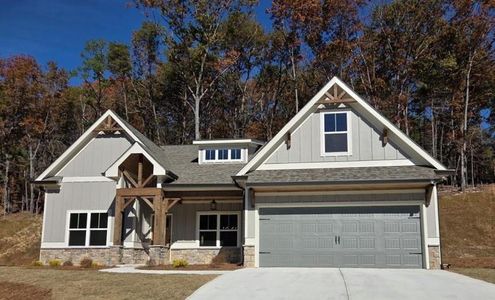 New construction Single-Family house 122 Fort Gibson Ct, Waleska, GA 30183 - image