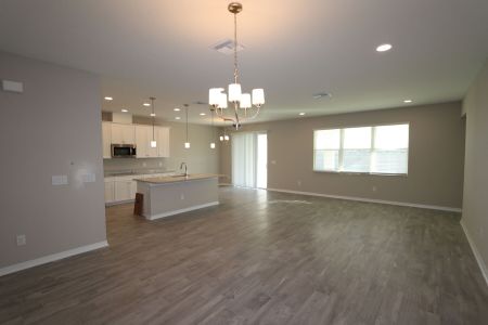 New construction Single-Family house 4774 Beachrose Way, Lakeland, FL 33811 Barcello Bonus- photo 92 92