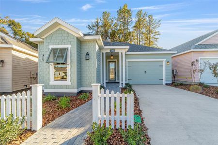 New construction Single-Family house 1015 Nw 132Nd Boulevard, Newberry, FL 32669 - photo 0