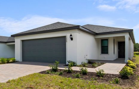 New construction Single-Family house 1220 Caloosa Cove Dr, Labelle, FL 33935 plan Daniel - image