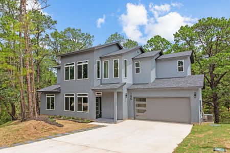 New construction Single-Family house 180 Kaanapali Ln, Bastrop, TX 78602 - image