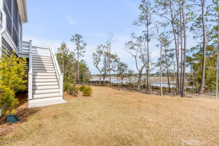 New construction Single-Family house 3554 Clambank Dr, Mount Pleasant, SC 29466 King- photo 59 59