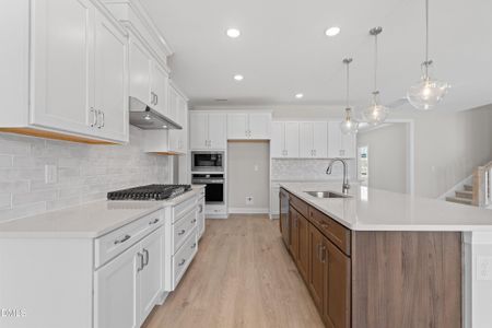 New construction Single-Family house 3204 Balcon Ct, Angier, NC 27501 - image 18