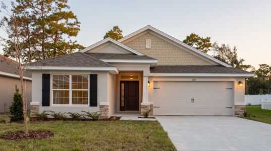 New construction Single-Family house 11619 Grace Rd, Weeki Wachee, FL 34614 plan 1720 - image