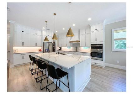 New construction Single-Family house 18469 Purple Creek Ln, Lutz, FL 33549 - image 16