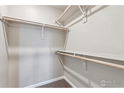 New construction Duplex house 299 Shoveler Wy, Johnstown, CO 80534 plan Congaree - image 14